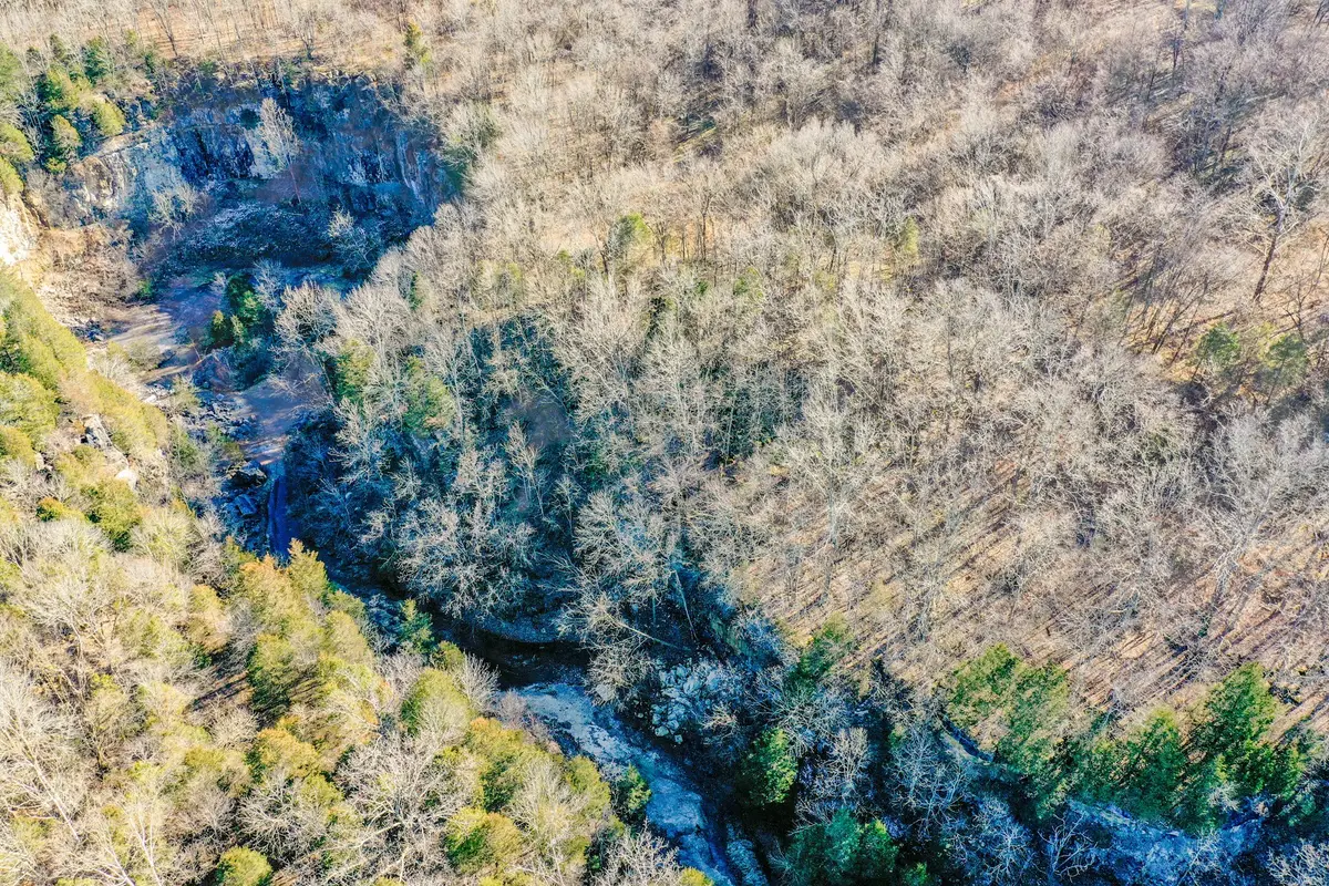 0 Red Tuttle Road, Bethpage, TN 37022 - Image #1