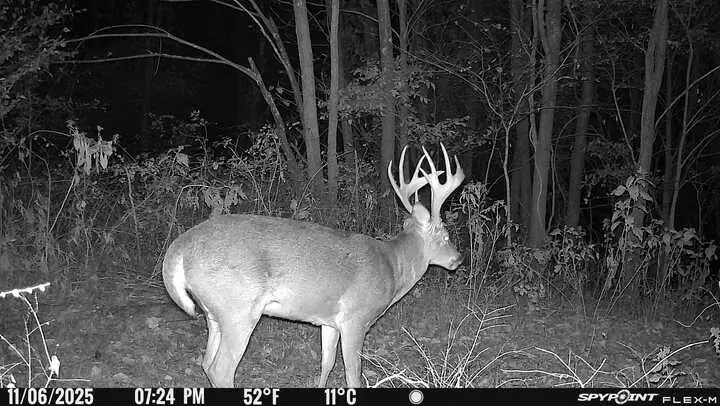 0 Red Tuttle Road, Bethpage, TN 37022 - Image #2