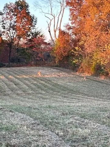 539 Womack Rd, Bethpage, TN 37022 - Image #2