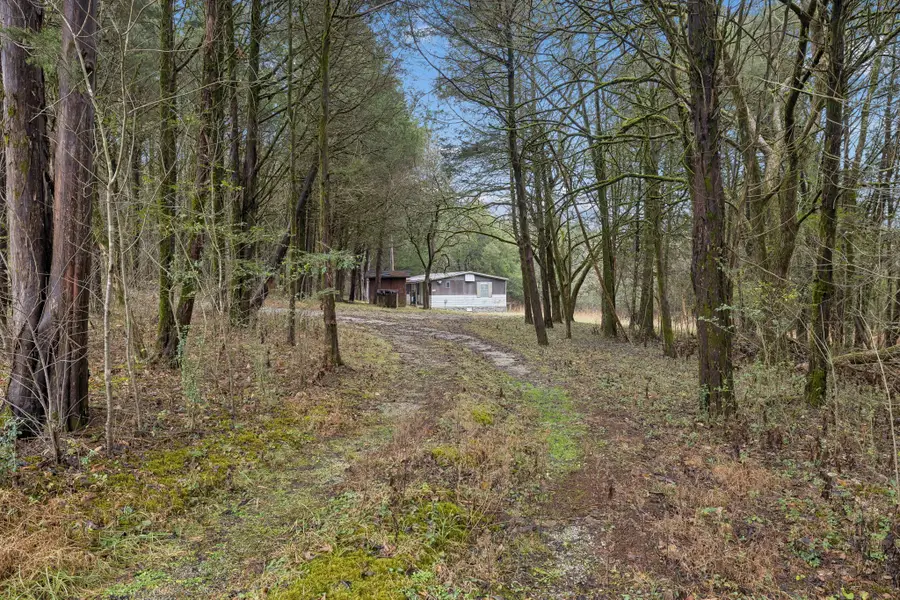 165 Holmes Gap Rd, Brush Creek, TN 38547 - Image #3