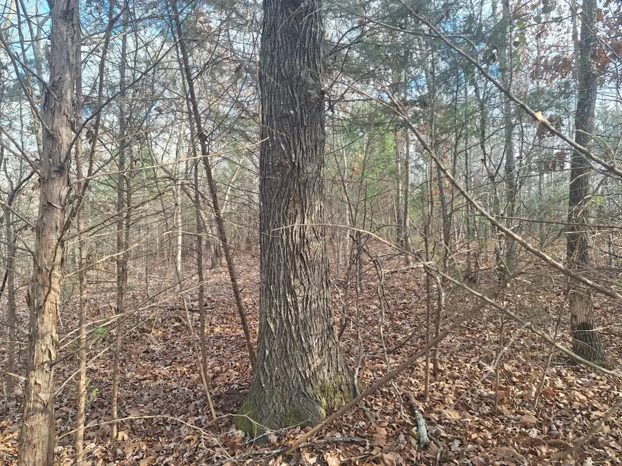 0 Circle G Drive, Lawrenceburg, TN 38464 - Image #2