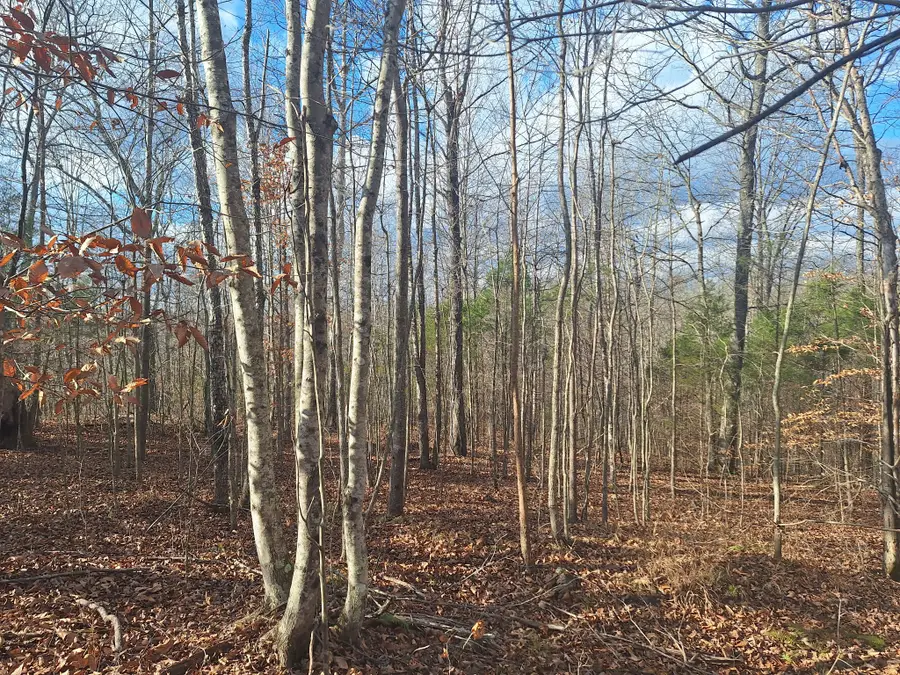 0 Circle G Drive, Lawrenceburg, TN 38464 - Image #3