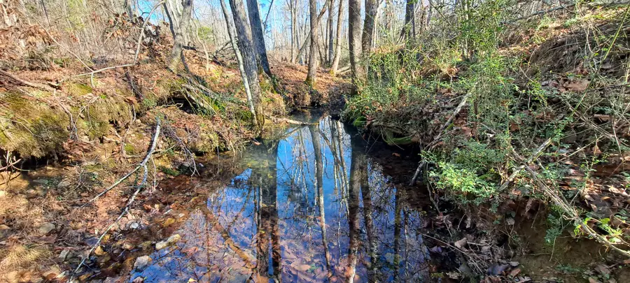 0 Nw Piney Road, Dickson, TN 37055 - Image #3