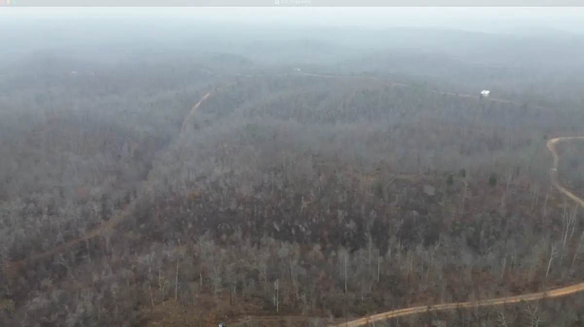 0 Rolling Hills Rd, Lobelville, TN 37097 - Image #1