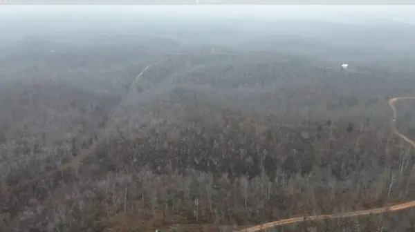 0 Rolling Hills Rd, Lobelville, TN 37097