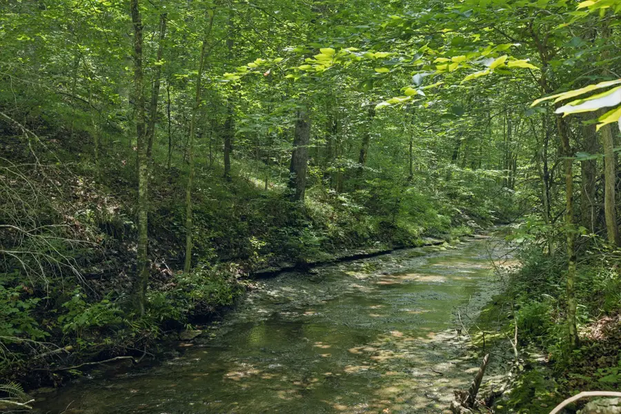 5723 Quest Ridge Rd, Franklin, TN 37064 - Image #2