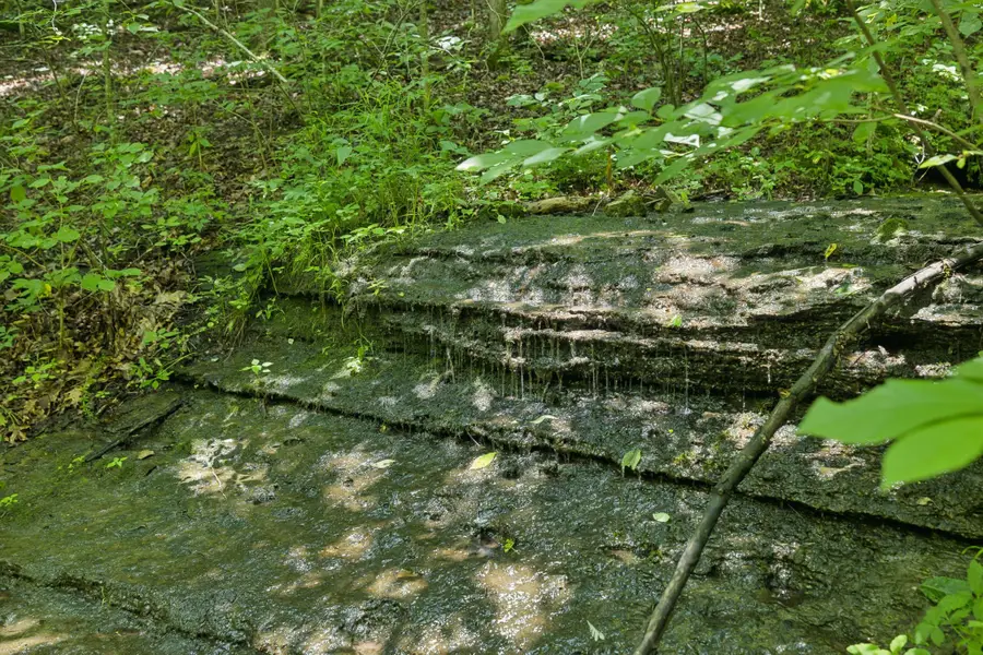 5723 Quest Ridge Rd, Franklin, TN 37064 - Image #3