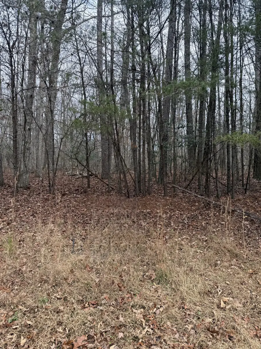 0 Westlake Ave, Monteagle, TN 37356 - Image #3