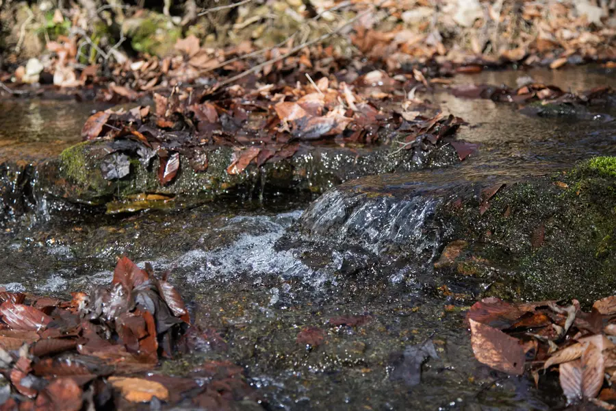 10001 Davis Branch Rd, Bon Aqua, TN 37025 - Image #2