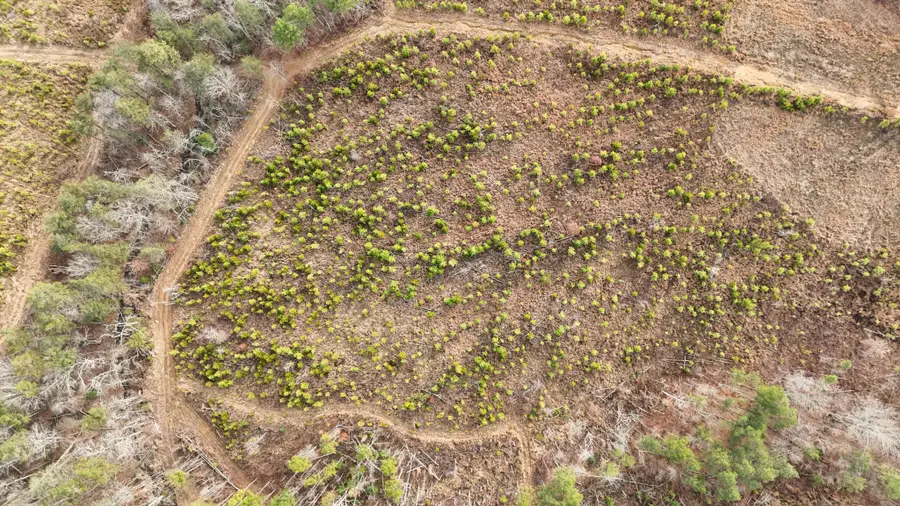 0 State Rt 399 Lot 13, Dunlap, TN 37327 - Image #3