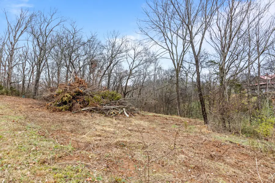 0 Scenic Hollow Drive, Dunlap, TN 37327 - Image #3