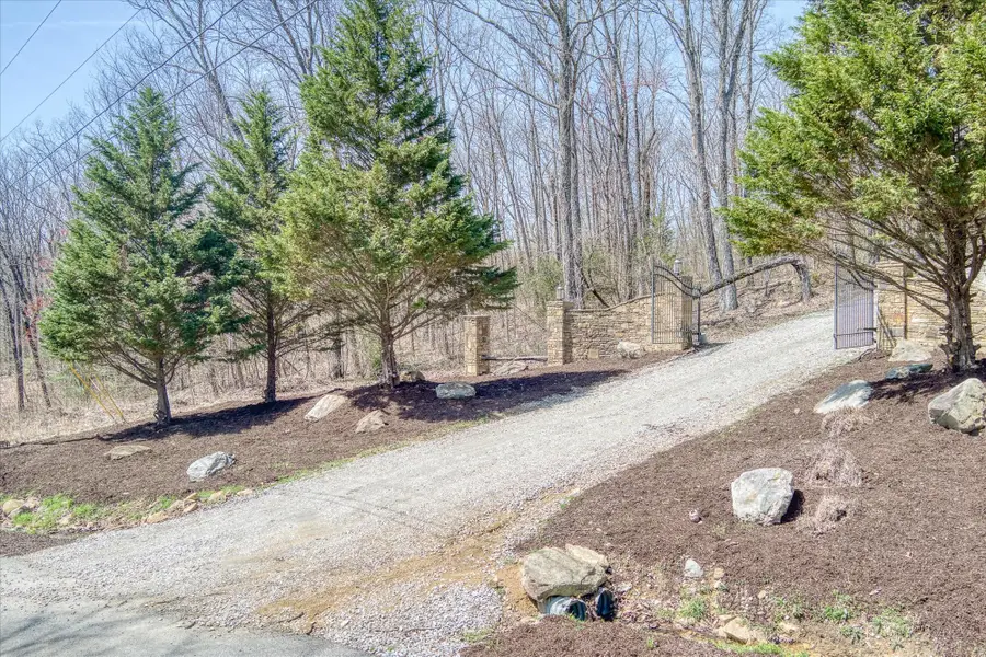 74 Black Cat Trl, Rockwood, TN 37854 - Image #3