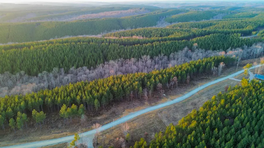 0 Summit Dr, Hohenwald, TN 38462 - Image #2