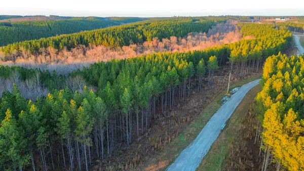 0 Summit Dr, Hohenwald, TN 38462