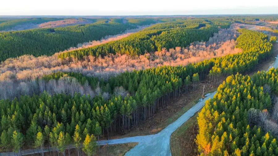 0 Summit Dr, Hohenwald, TN 38462 - Image #2