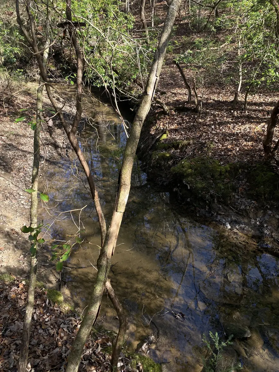 305 Timberwood Trace, Monteagle, TN 37356 - Image #2