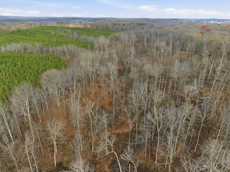 0 Cox Hollow Rd, Dover, TN 37058 - Image #3