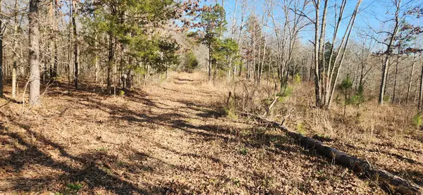 0 Nine Mile Ridge Rd, Duck River, TN 38454