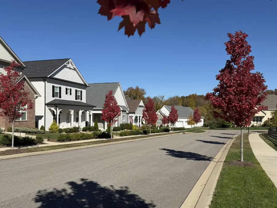 7141 Frances St, Fairview, TN 37062 - Image #3