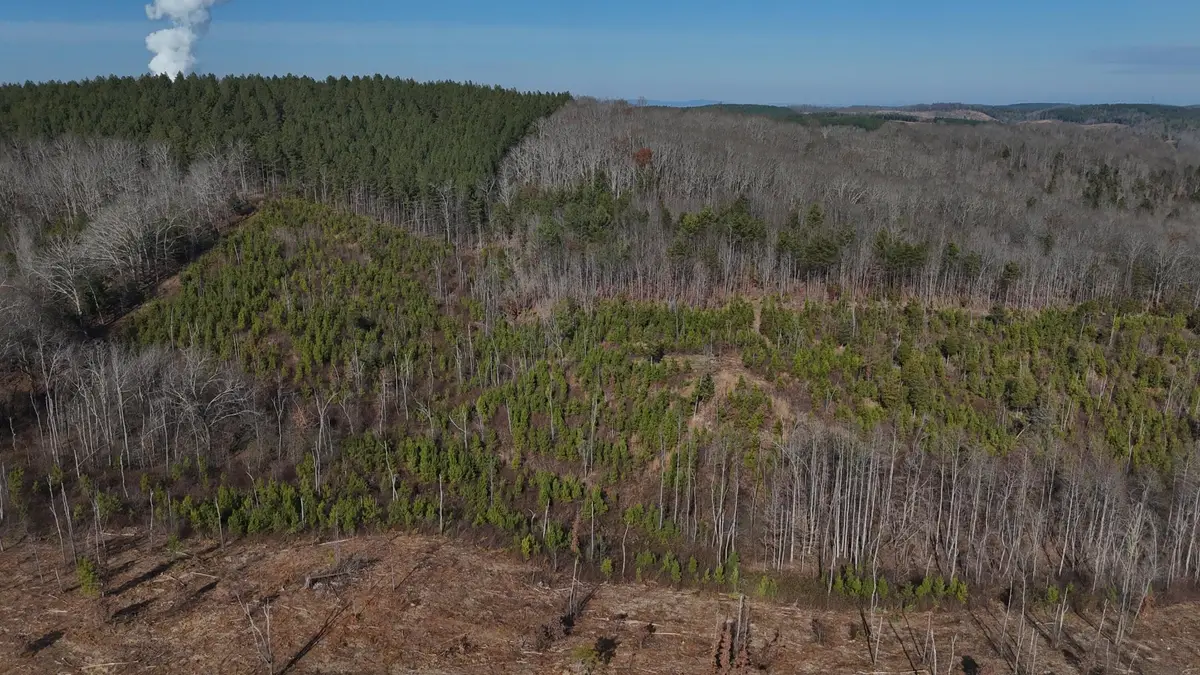 0 Big Sewee Lot 5, Decatur, TN 37322 - Image #1