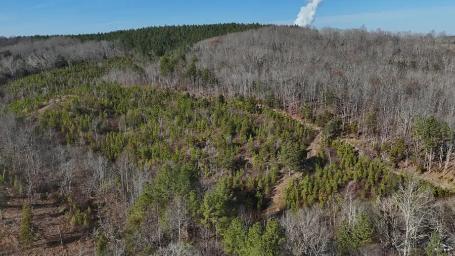 0 Big Sewee Lot 5, Decatur, TN 37322 - Image #2