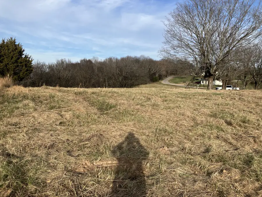 1 Diana Ridge Rd, Pulaski, TN 38478 - Image #2