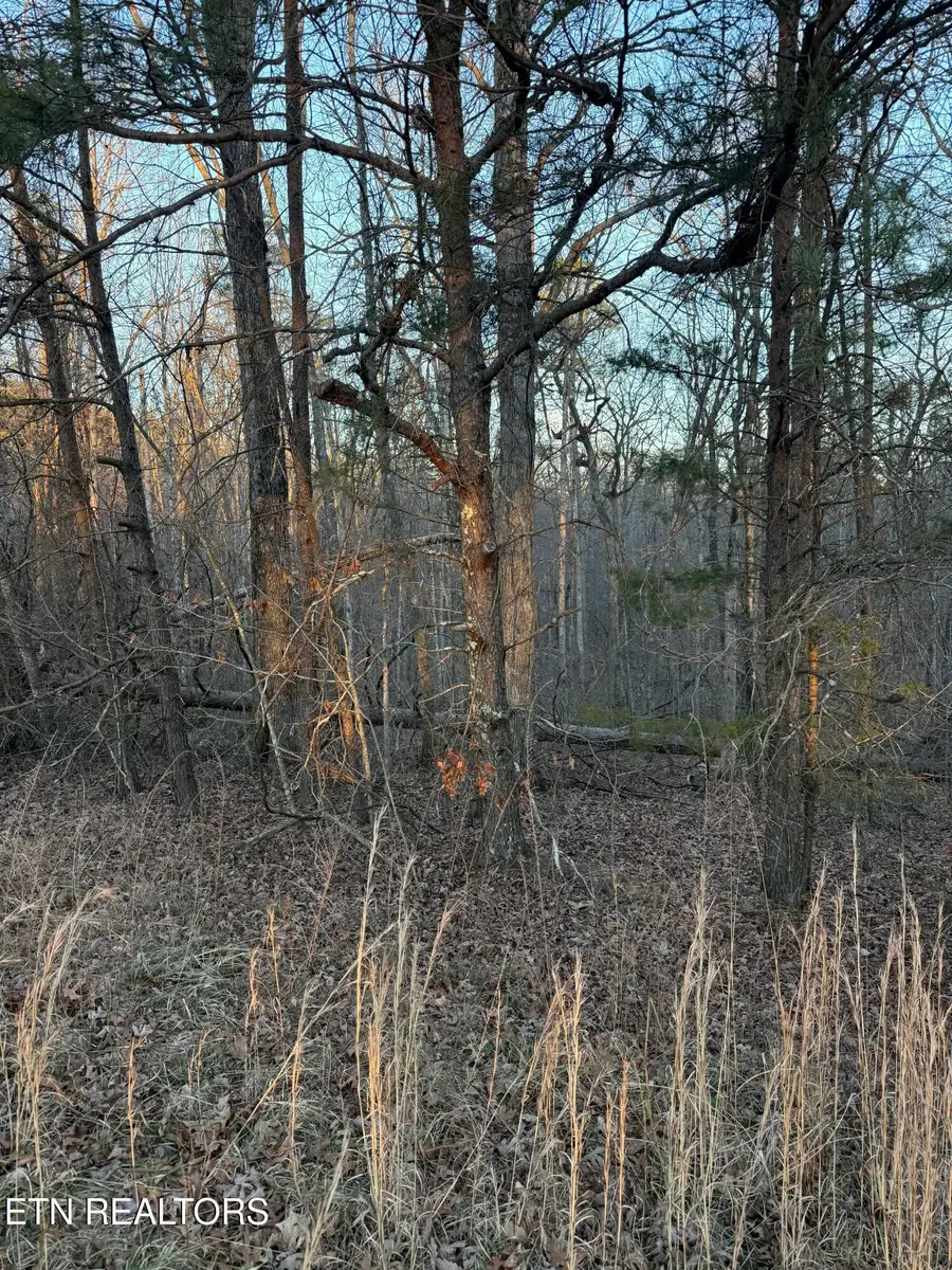 5 W Laurel Way, Monterey, TN 38574 - Image #2