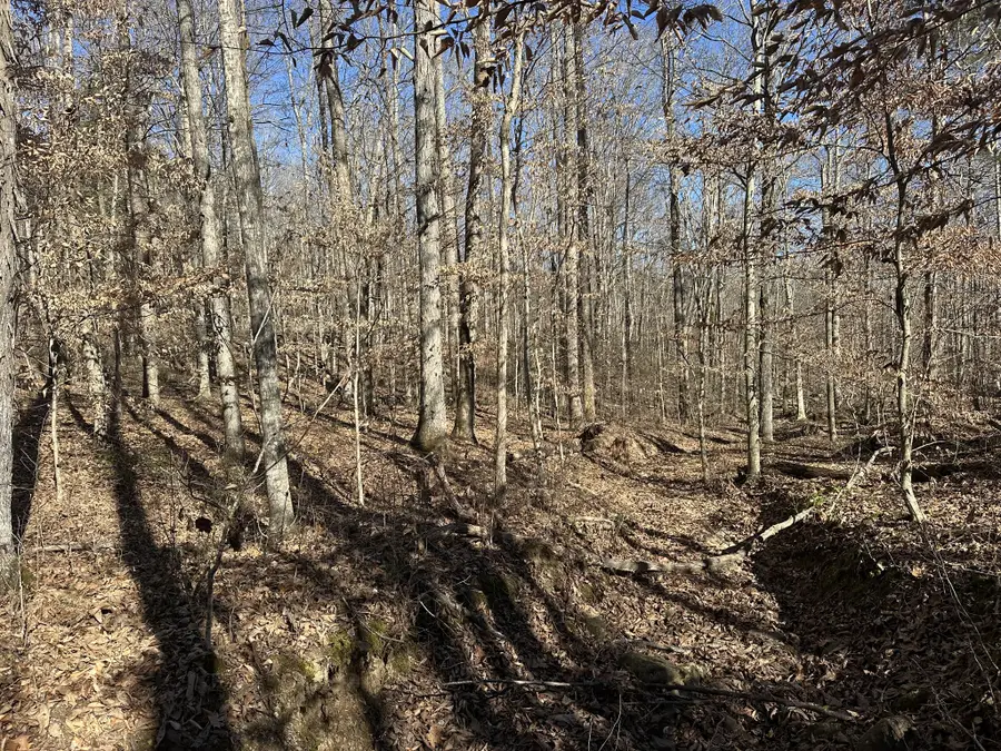 0 Whites Cave Rd, Sparta, TN 38583 - Image #3