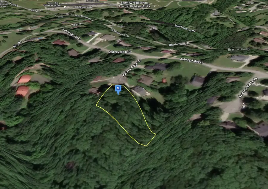 7612 Aubrey Ridge Ct, Fairview, TN 37062 - Image #3