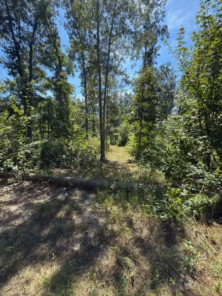 0 0 Paul Harrell Rd, Beechgrove, TN 37018 - Image #2