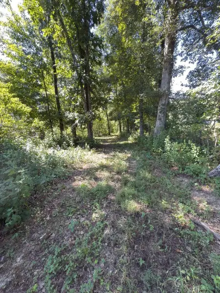 0 Paul Harrell Rd, Beechgrove, TN 37018 - Image #2