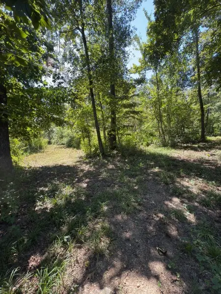 0 Paul Harrell Rd, Beechgrove, TN 37018 - Image #3