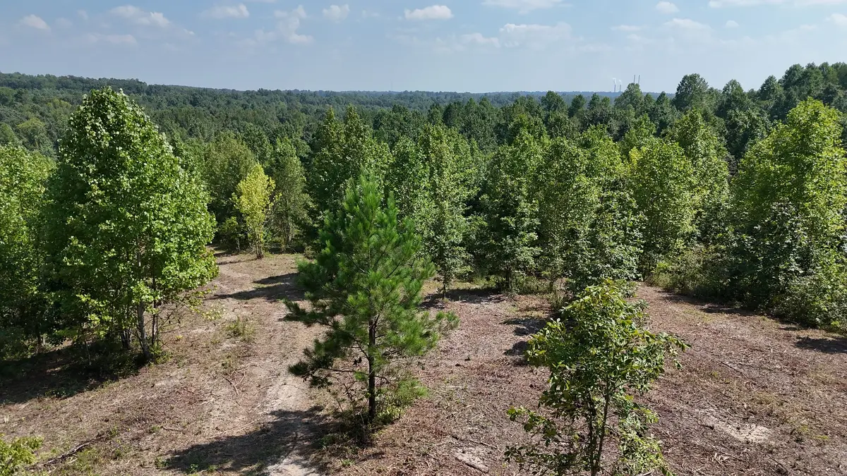 0 Freedom Ridge, Indian Mound, TN 37079 - Image #1