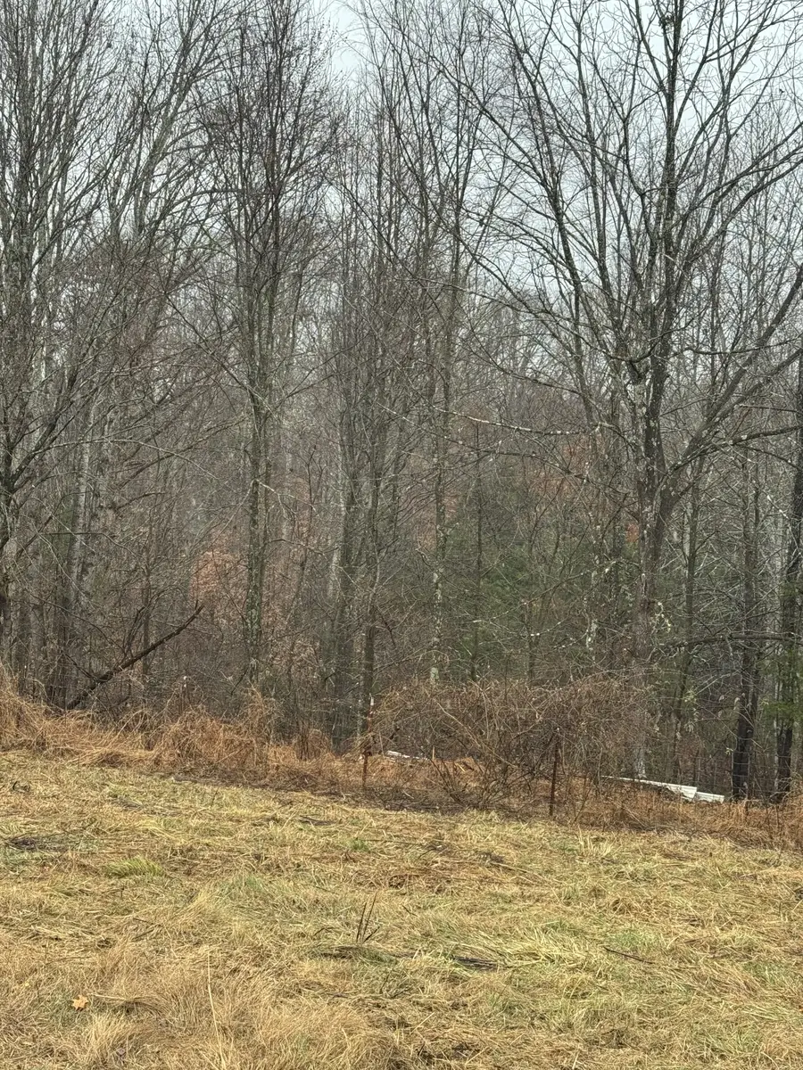 6 Jimtown Road, Lafayette, TN 37083 - Image #3