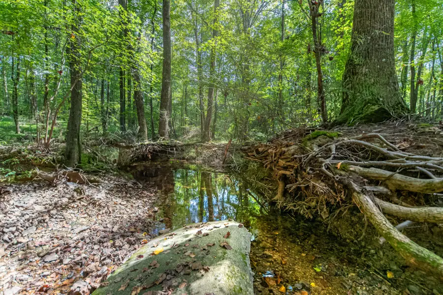 812 Good Hope Rd, Leoma, TN 38468 - #3