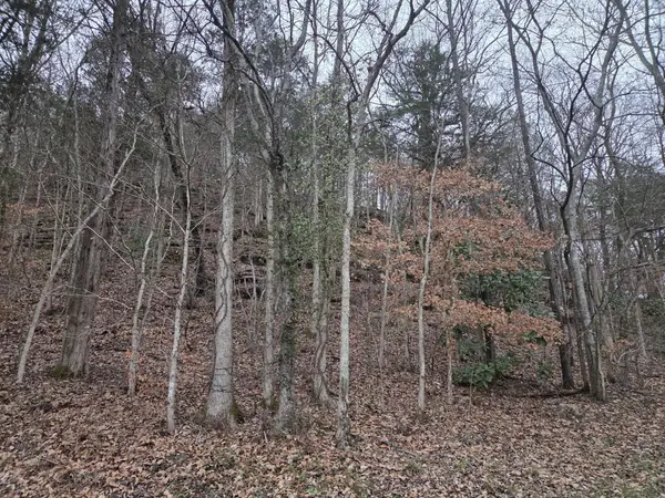 0 Upper Brush Creek Rd, Linden, TN 37096