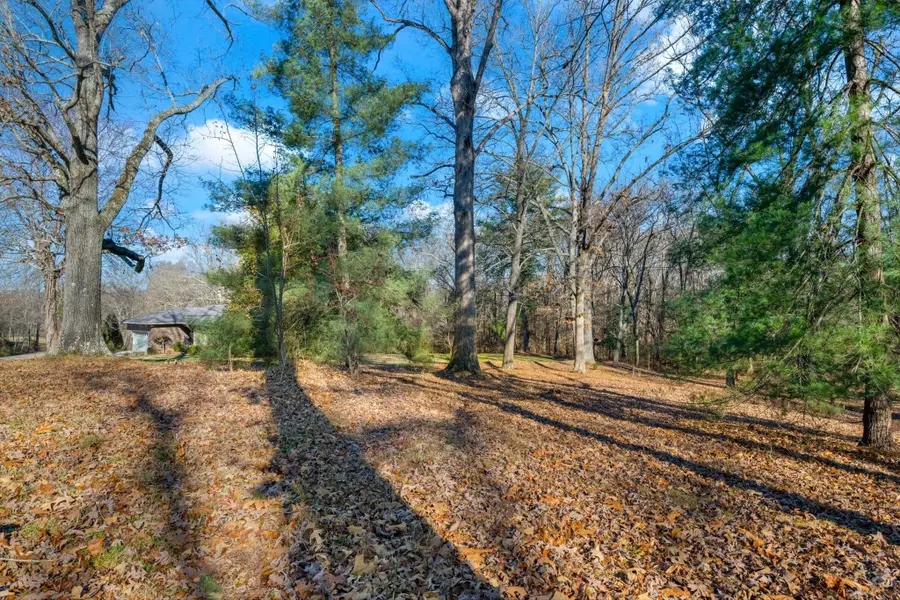0A Pickney Rd, Winchester, TN 37398 - Image #2