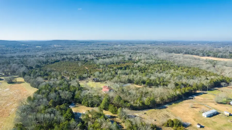 980 Baldy Ford Road, Lascassas, TN 37085 - #2