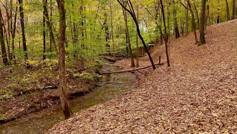 7368 Overbey Rd, Fairview, TN 37062 - #2