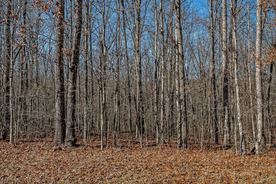 0 Overlook Rd E, Monterey, TN 38574 - Image #3