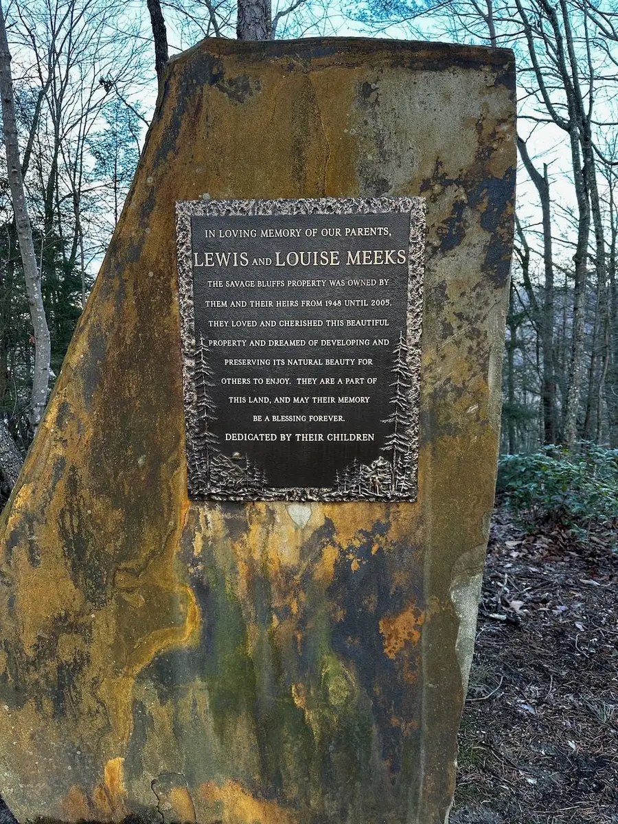 3 Woodfern Ln, Coalmont, TN 37313 - Image #2