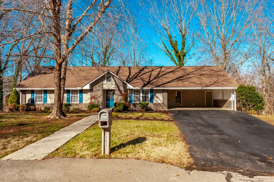 203 Mosley Dr, Springfield, TN 37172 - Image #2