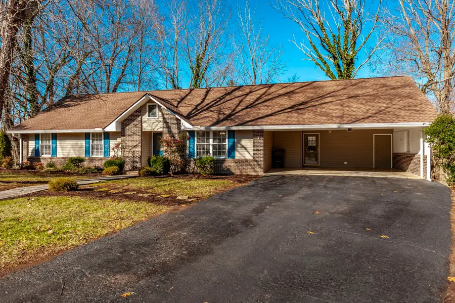 203 Mosley Dr, Springfield, TN 37172 - Image #3