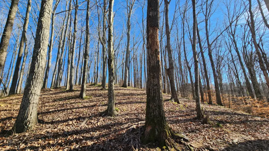 0 Bridge Pointe, Sparta, TN 38583 - #2