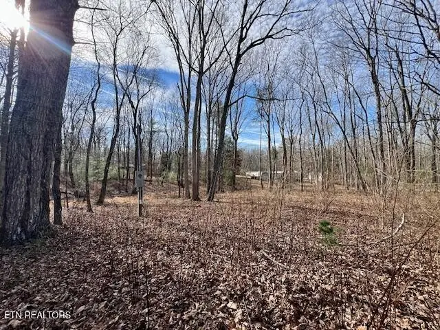 19 Royal Circle, Crossville, TN 38558 - Image #1