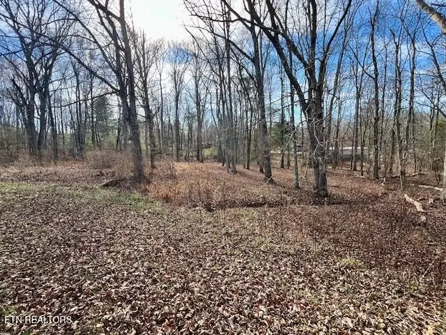 19 Royal Circle, Crossville, TN 38558 - Image #2