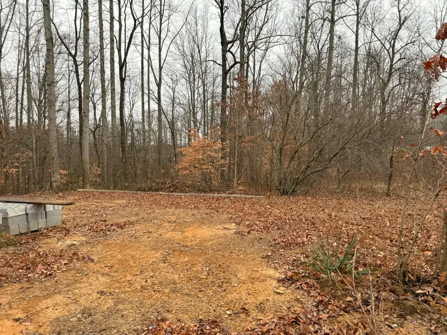 0 Periwinkle Path, Leoma, TN 38468 - Image #3