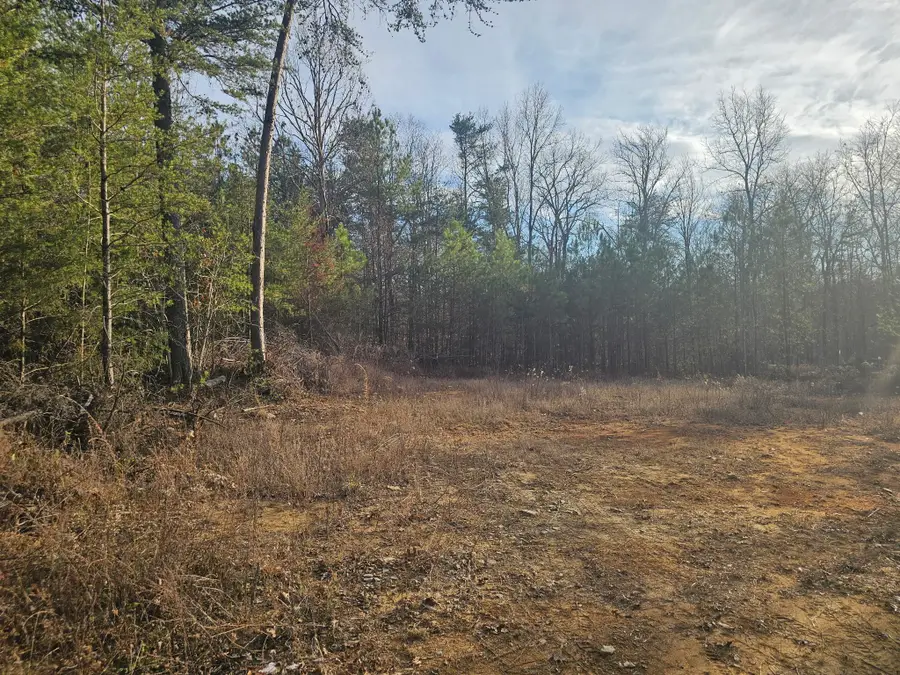 2900300 Smith Mountain, Dunlap, TN 37327 - Image #3