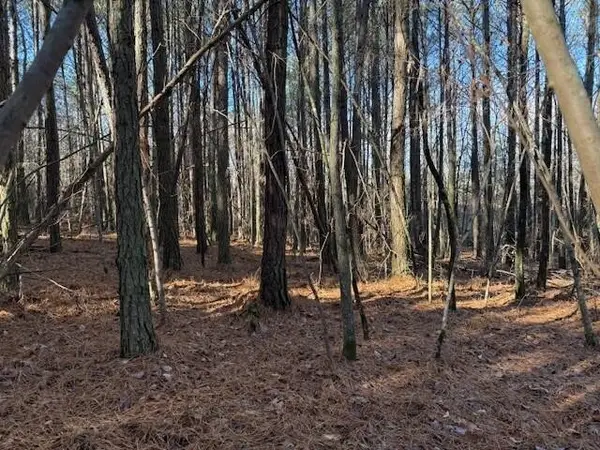 9 Hwy 11, Valley Head, AL 35989