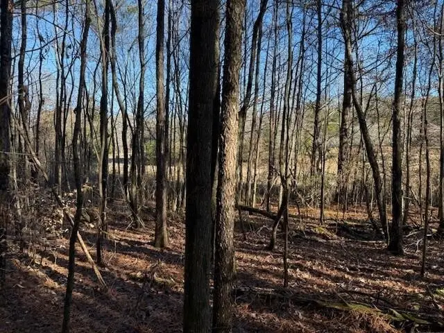 9 Hwy 11, Valley Head, AL 35989 - Image #3